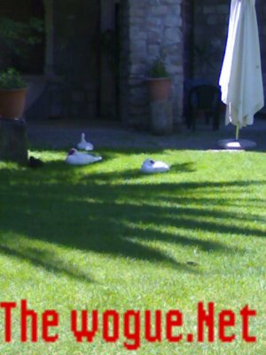 OCHE NEL GIARDINO DE IL PARADOSSO RISTORANTE RELAIS PIANOSCARANO VITERBO