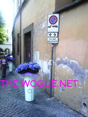 VITERBO IN FIORE 2012 MURI IN DECLINO....
