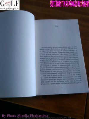 interno libro il grande gatzby