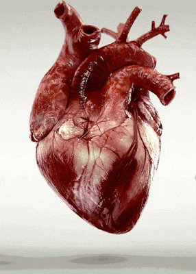 cuore pulsante