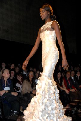 tony ward