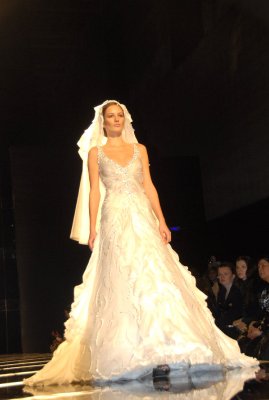 tony ward