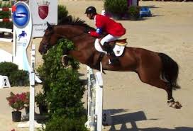 piazza di siena roma 2013 csio