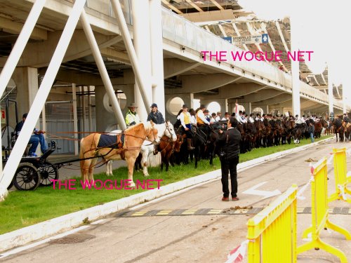 inaugurazione roma cavalli 2012 parata autorità
